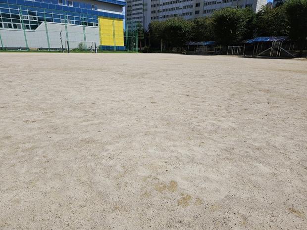 학교 운동장 잡초 제거 전문가, 용당2동 유치원 안전 관리!