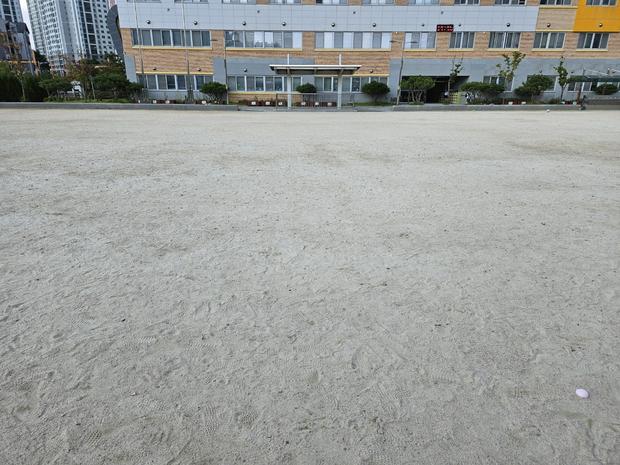 학교 운동장 잡초 제거,  전국산업안전으로 더욱 안전하게