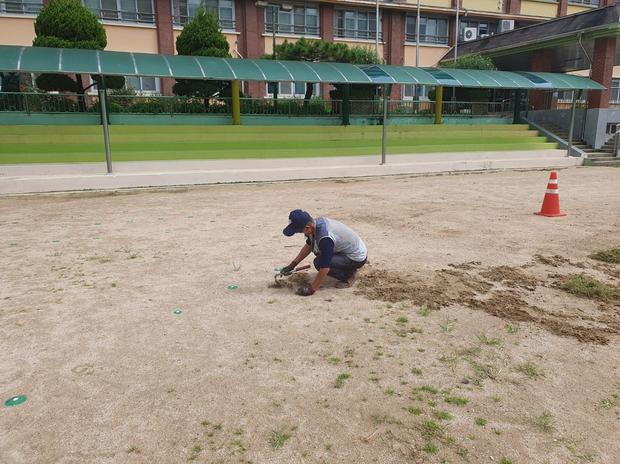 학교 운동장 잡초 제거, 전국산업안전으로 안전하고 건강한 공간 만들어봐! 관련 이미지