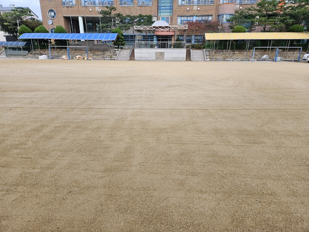 운동장 시공, 안전은 꼭! 연산동고등학교 운동장 소금살포 전문가를 찾으세요