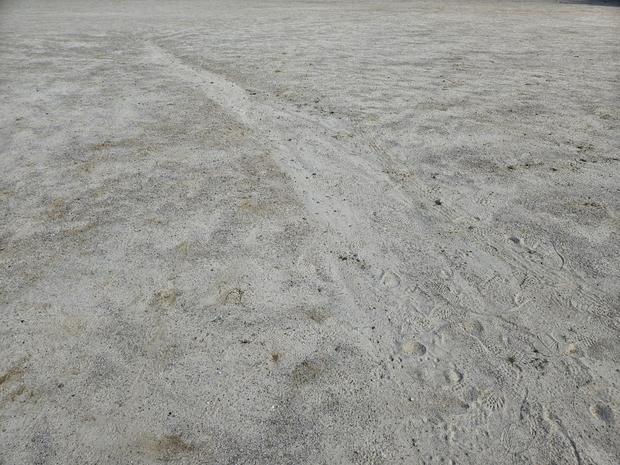 학교 운동장 잡초 제거? 전문 시공으로 안전하고 효과적인 관리!