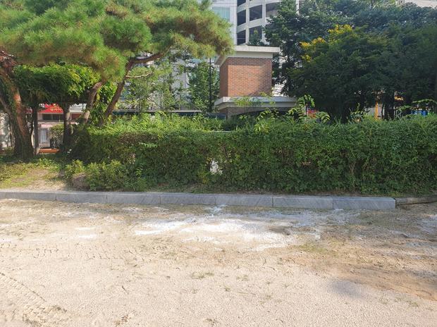 **모래보충, 학교 운동장 안전 확보! 목원동병설유치원 운동장 공간 전문가가 알려줄 ... 관련 이미지