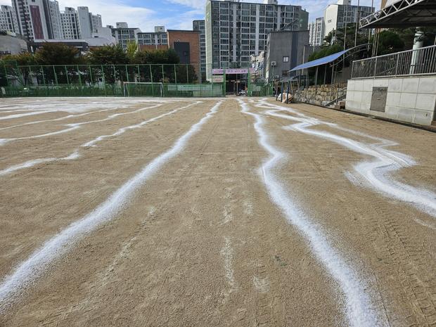 죽교동초등학교 운동장 잡초 제거: 전문가 시공으로 안전하고 깨끗한 놀이터 만들기 관련 이미지
