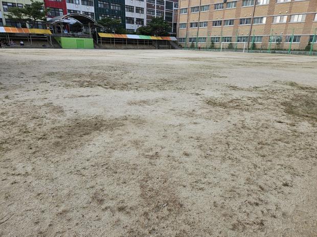 학교 운동장 안전, 이로동초등학교 소금살포 ?️ 전문 시공으로 최상의 보호! 관련 이미지