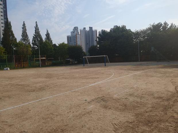 하당동중학교 운동장 잡초 제거: 전문 시공으로 안전하고 깨끗한 운동 공간 만들기 관련 이미지