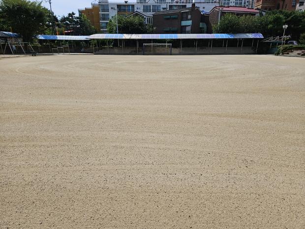 신흥동초등학교 운동장 관리 전문가 ?  안전 & 오래 szól ?