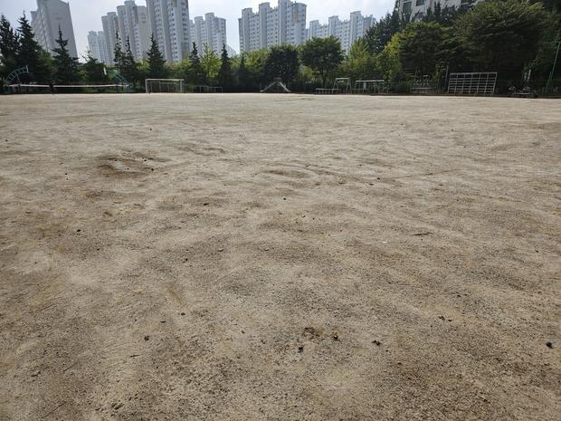 삼향동초등학교 운동장 관리 전문가, 안전과 신뢰로 학교 활성화!