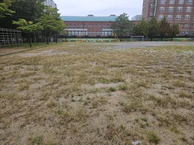삼향동고등학교 운동장 모래보충 | 전국산업안전, 최적화된 안전성!