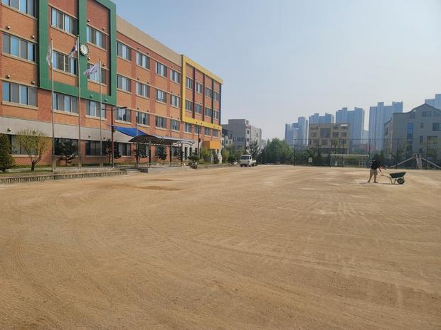 학교 운동장 잡초 제거 ? 전문 시공으로 안전하고 정밀하게  ! 관련 이미지