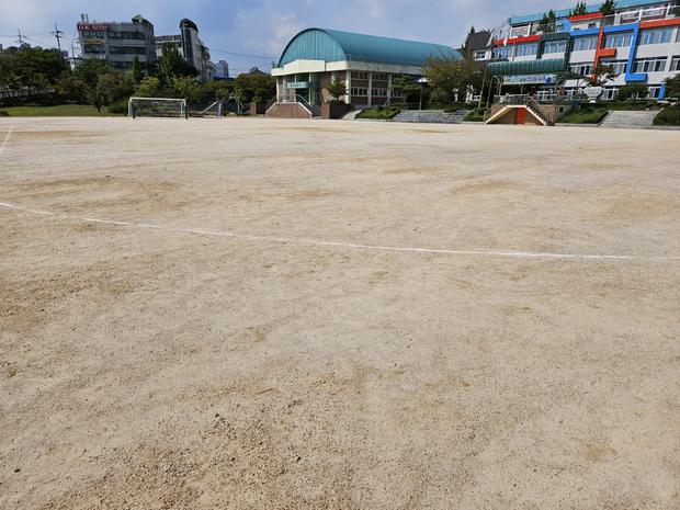 부주동병설유치원운동장 소금살포: 안전하고 멋진 운동장 만들기 전문가를 찾으세요