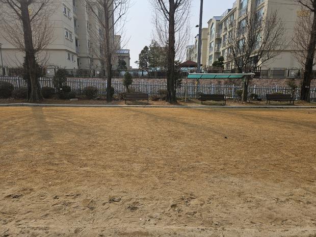 학교 운동장 모래보충, 안전 & 신뢰성 갖춘 전문 시공!