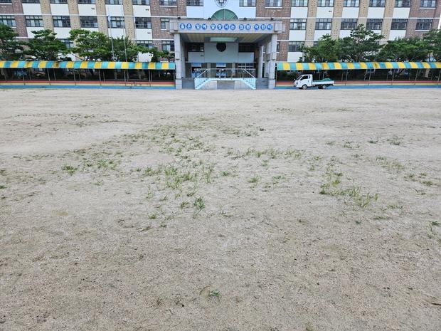여수유치원 운동장 잡초 제거, 전문적인 안전 관리를 통한  깨끗하고 건강한 놀이터 만들기! 관련 이미지