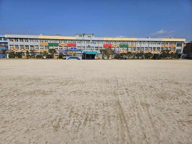돌산읍죽포출장소 초등학교 운동장 잡초 제거, 전문 시공으로 건강한 놀이터 만들어봐! 관련 이미지