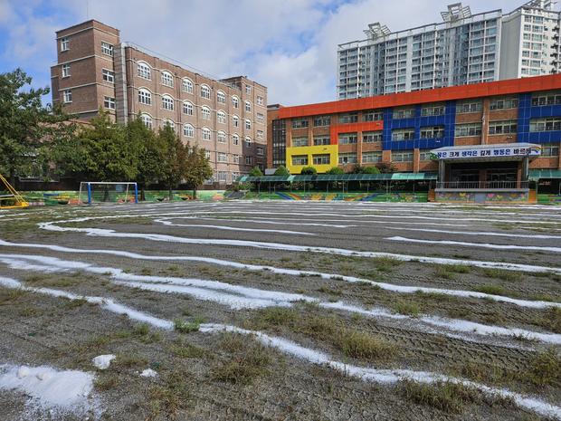 학교 운동장 잡초 제거: 전국산업안전으로 안전하고 건강한 놀이터 만들기! 관련 이미지