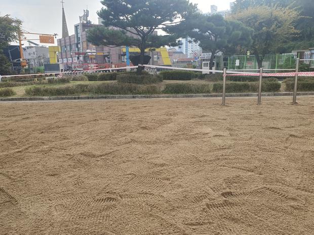 동문동유치원 운동장 소금살포 ? 전국산업안전 실제 시공, 안전하게 놀이하기! 관련 이미지