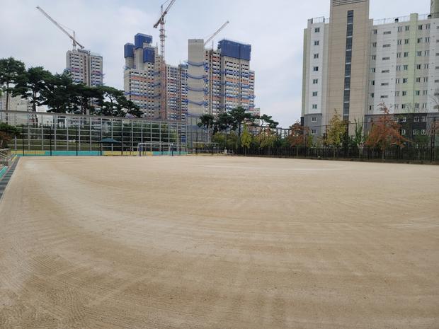 학교 운동장 잡초 제거, 안전 걱정 끝! 전문 시공으로 최고 수준 완벽 처리 관련 이미지
