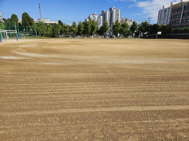 한려동초등학교 운동장 잡초 제거: 전문 시공으로 안전하고 건강하게 놀라야 해! 관련 이미지