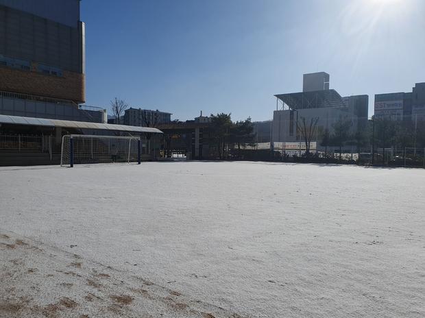 광림동중학교 운동장 잡초 제거, 전문 시공으로 안전하고 깨끗하게! 관련 이미지