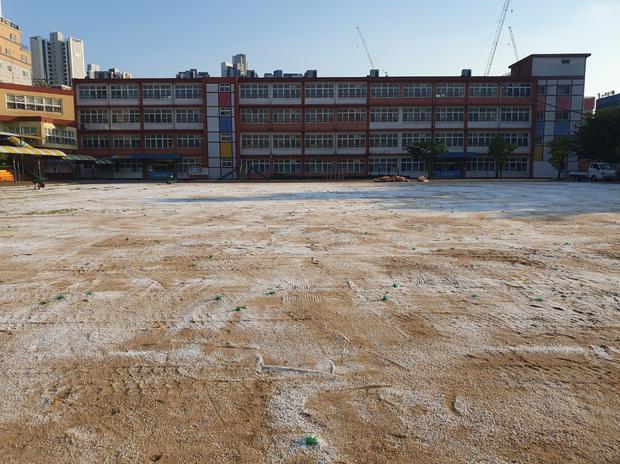 국동중학교 운동장 잡초 제거: 전문 시공으로 안전하고 깨끗한 놀이 공간 만들기! 관련 이미지