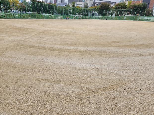 문수동중학교 운동장 잡초 제거: 전문 시공으로 안전하고 쾌적한 공간 만들기 관련 이미지