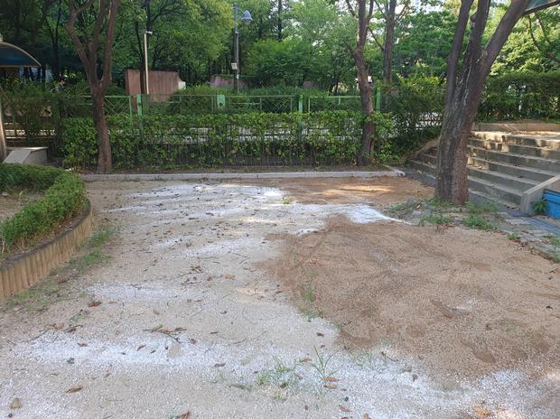 학교 운동장 잡초 제거? 전문 시공, 안전 & 신뢰로 깨끗하게! 관련 이미지