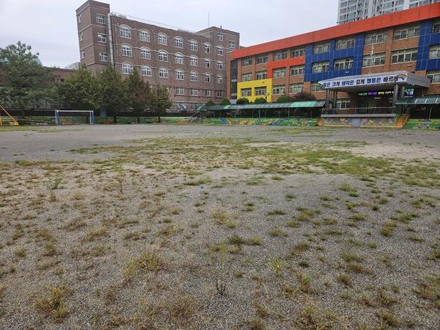 만덕동초등학교 운동장 모래보충: 전문 시공으로 튼튼한 놀이터 만들기! 관련 이미지