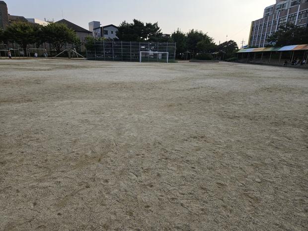 학교 운동장 잡초 제거 전문가로 안전하고 깔끔하게! 관련 이미지