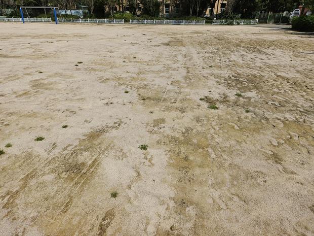 학교 운동장 잡초 제거: 전문 시공으로 안전하고 오랫동안 사용할 수 있게! 관련 이미지