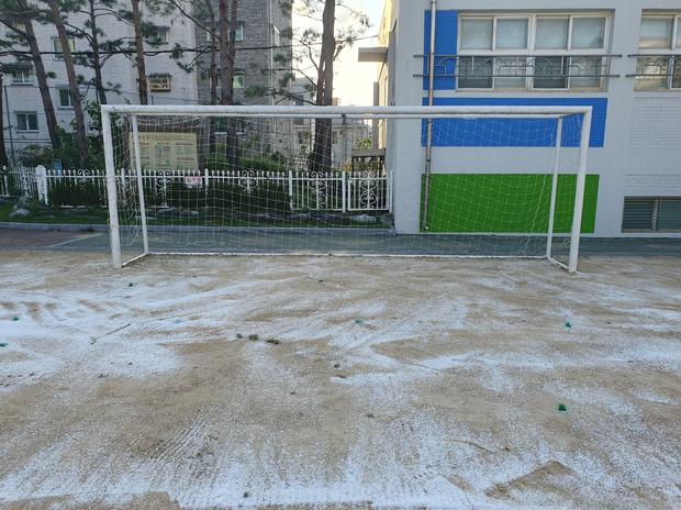 승주읍중학교 운동장 잡초 제거, 전국산업안전으로  ✅ 안전하고 깨끗하게!