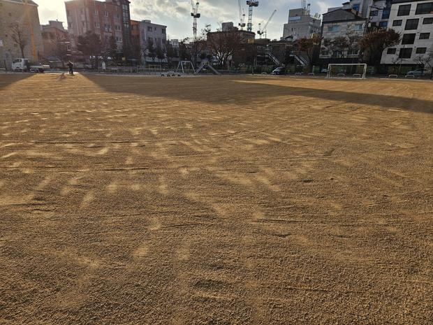 향동중학교 운동장 관리, 전국산업안전 꼭 필요!