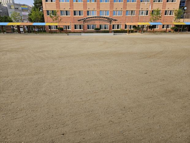 학교 운동장 유지보수 전문가, 안전과 신뢰를 위한 삼산동병설유치원 관리