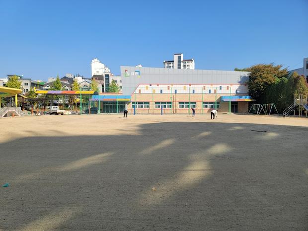 도사동유치원 운동장 잡초 제거: 전문 시공으로 안전하고 건강한 놀이 공간 만들기!
