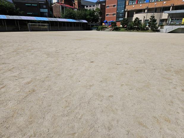 도사동고등학교 운동장 모래 보충, 안전하고 튼튼한 놀이터 만들어요!