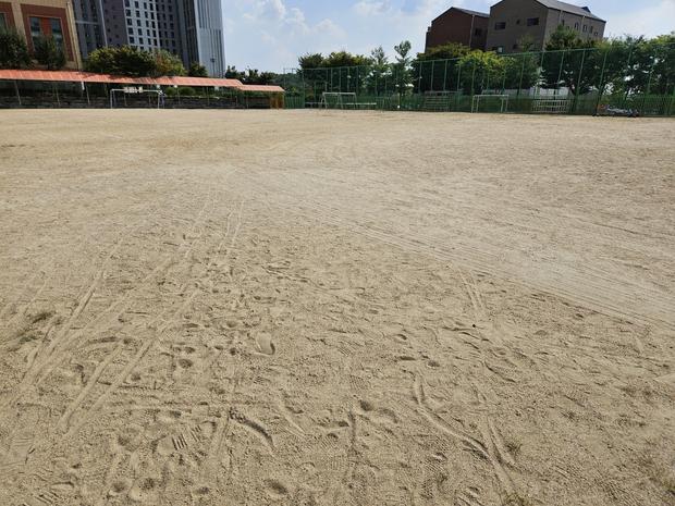 학교 운동장 모래보충 전문! 안전과 질 높은 세지면초등학교운동장 완벽 관리