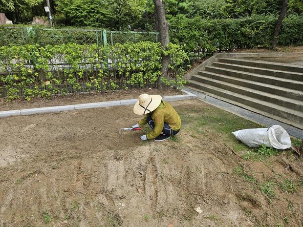 반남면중학교 운동장 관리 ?️ 전문가의 안전 확보, 꼼꼼하게 시행하세요!