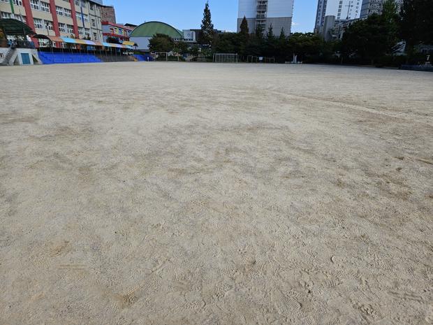 동강면초등학교 운동장 잡초 제거, 전국산업안전으로 더욱 깨끗하고 안전하게! 관련 이미지