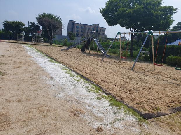 동강면중학교 운동장 잡초 제거: 전문 시공으로 안전하고 효과적인 관리! 관련 이미지