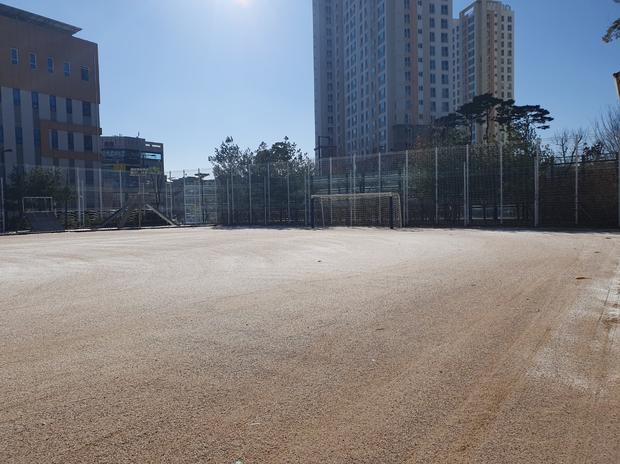 동강면고등학교 운동장 잡초 제거! 전문 시공, 안전과 효율성!
