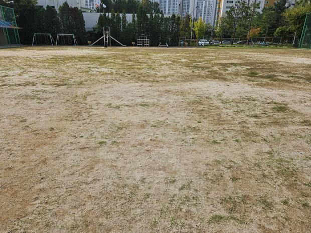동강면고등학교 운동장 모래보충: 전문 시공으로 튼튼한 놀이터 만들기!