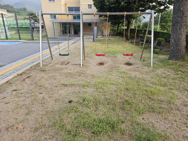 학교 운동장 잡초 제거! 안전하고 효과적인 방법 배우는 법!