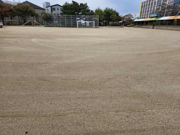 학교 운동장 잡초 제거 전문가! 안전 & 효율적 문평면 유치원 운동장 관리! 관련 이미지
