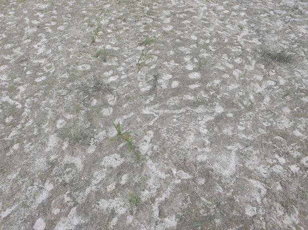 산포면중학교 운동장 관리, 전문가를 위한 안전과 신뢰!