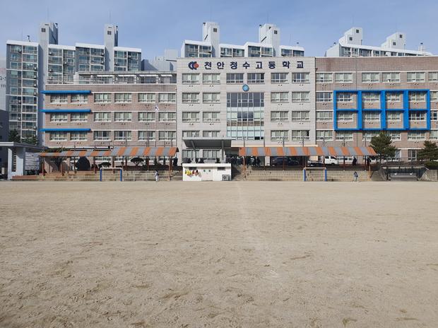 산포면병설유치원 운동장 모래보충 ?✅  전문 시공으로 안전하고 지속 가능한 놀이터 만... 관련 이미지