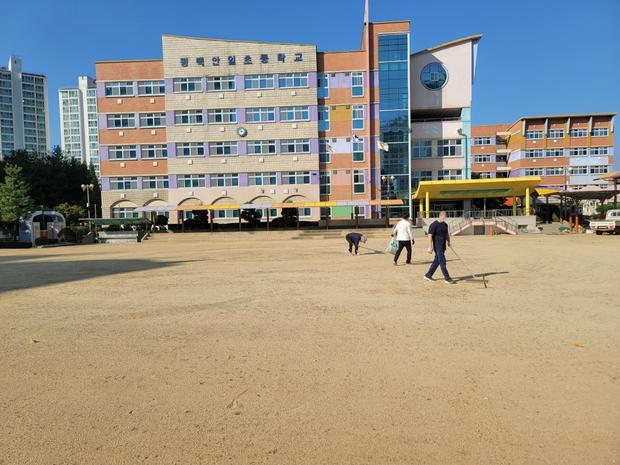 봉황면병설유치원 운동장 모래보충: 전국산업안전으로 건강하고 안정적인 놀이터 만들기