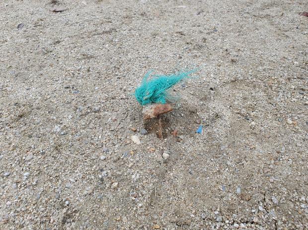 학교 운동장 소금살포: 전국산업안전으로 깨끗하고 안전한 놀이터 만들기!