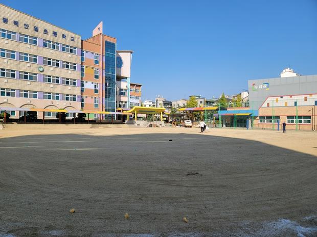 학교 운동장 유지보수, 안전 100%  ? 영산동초등학교 전문 관리! 관련 이미지