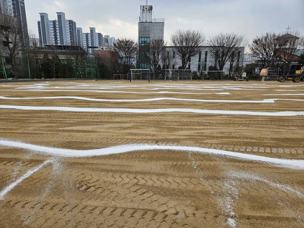 영산동고등학교 운동장 잡초 제거: 전문가로부터 안전하고 효율적인 솔루션!