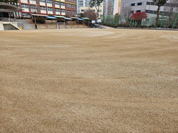 옥룡면초등학교 운동장 소금살포, 전문 시공으로 안전하고 지속 가능한 운영! 관련 이미지