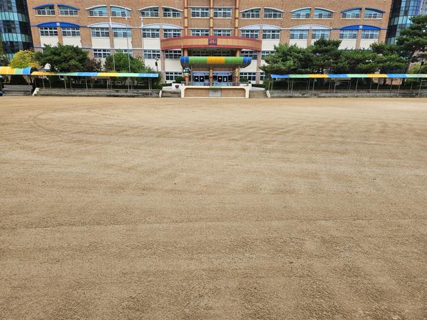 옥룡면고등학교 운동장, 안전과 건강한 놀이를 위한 전문 서비스 관련 이미지