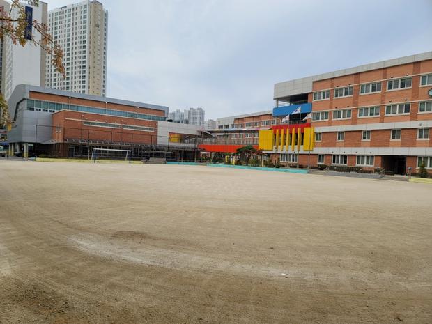 진상면중학교 운동장 잡초 제거 | 전국산업안전, 안정적인 운동장 유지보수!